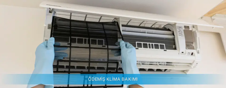 Ödemiş İlçemi Profilo Klima Bakımı
