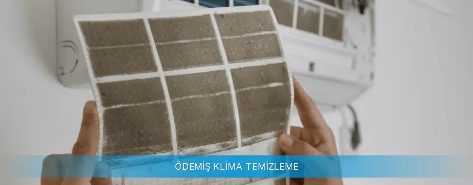 Ödemiş İlçemi Profilo Klima Temizleme